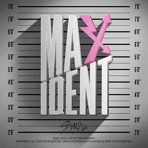 Maxident by Stray Kids