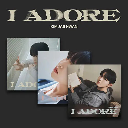 I Adore by Kim Jae Hwan